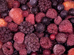 Berry Mixed IQF 1kg SpeedyBerry