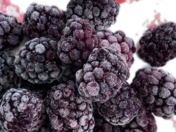 Blackberries IQF Organic USA 13.61kg