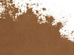 Cocoa Powder 10-12 1kg
