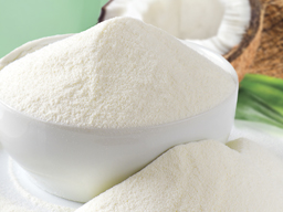 Coconut Milk Powder Dairy Free 25kg