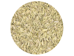 Fennel Seed Whole India 25kg