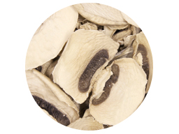 Mushroom Dry Sliced 10-25mm 10kg 