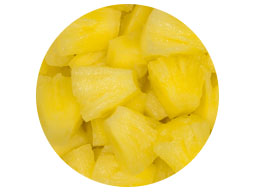 Pineapple Tidbits L/S 3A10