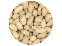 Pine Nut Kernels 25kg Premium